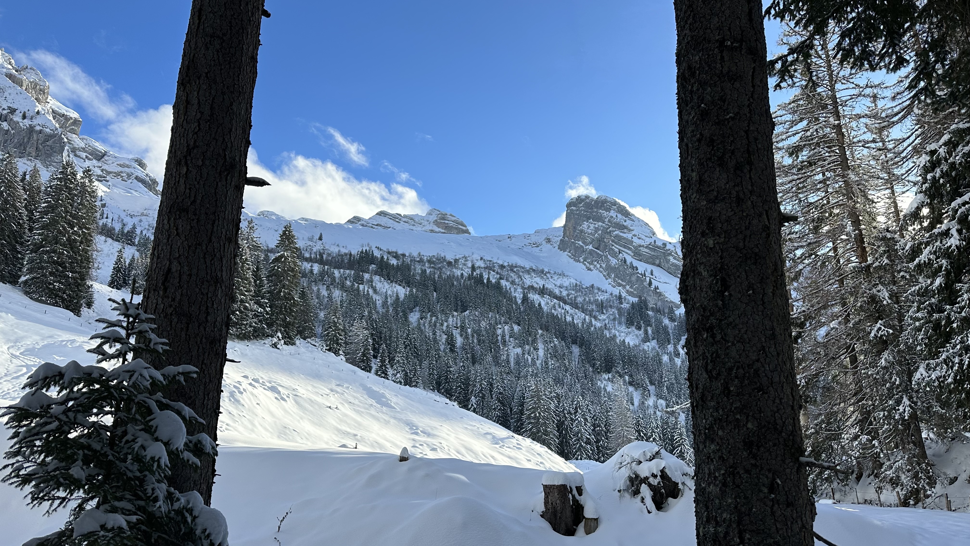 Swiss landscape in Switzerland